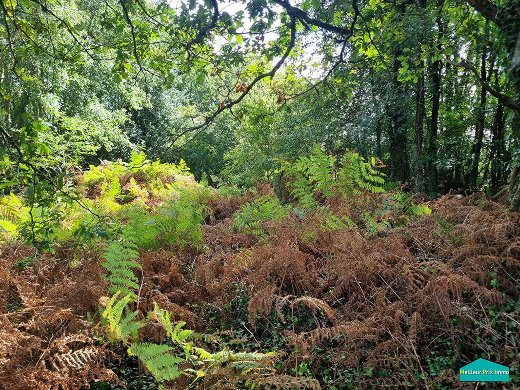 Terrain à LA GARNACHE