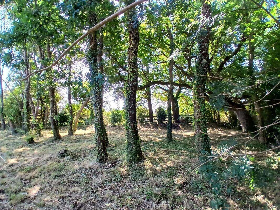Terrain constructible - Accès plage Landrezac - 792 m2 - photo 5