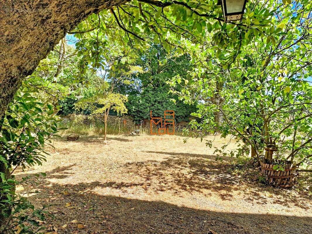 Maison de Maitre, pleine de Charme, avec jardin, cour, dépendances... - photo 4