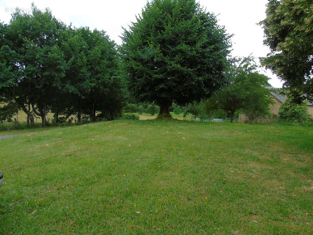 Belle grange en pierre sur 1000m2 - photo 4