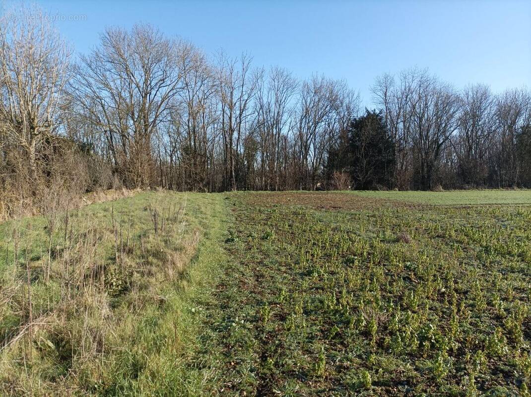 Terrain à LA CRECHE