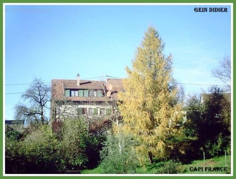 Maison à LA PETITE-PIERRE