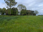 Terrain à SAINT-SIMON-DE-BORDES