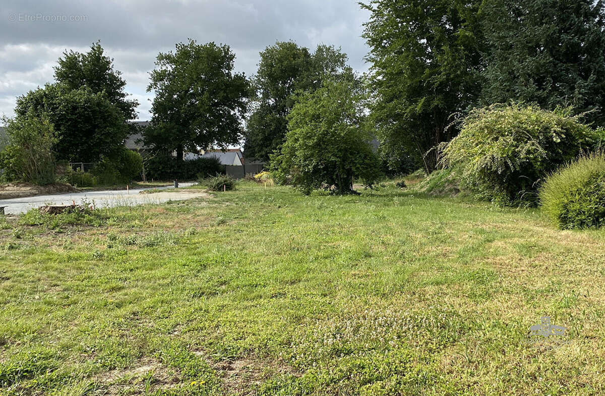 Terrain à GRANDCHAMPS-DES-FONTAINES