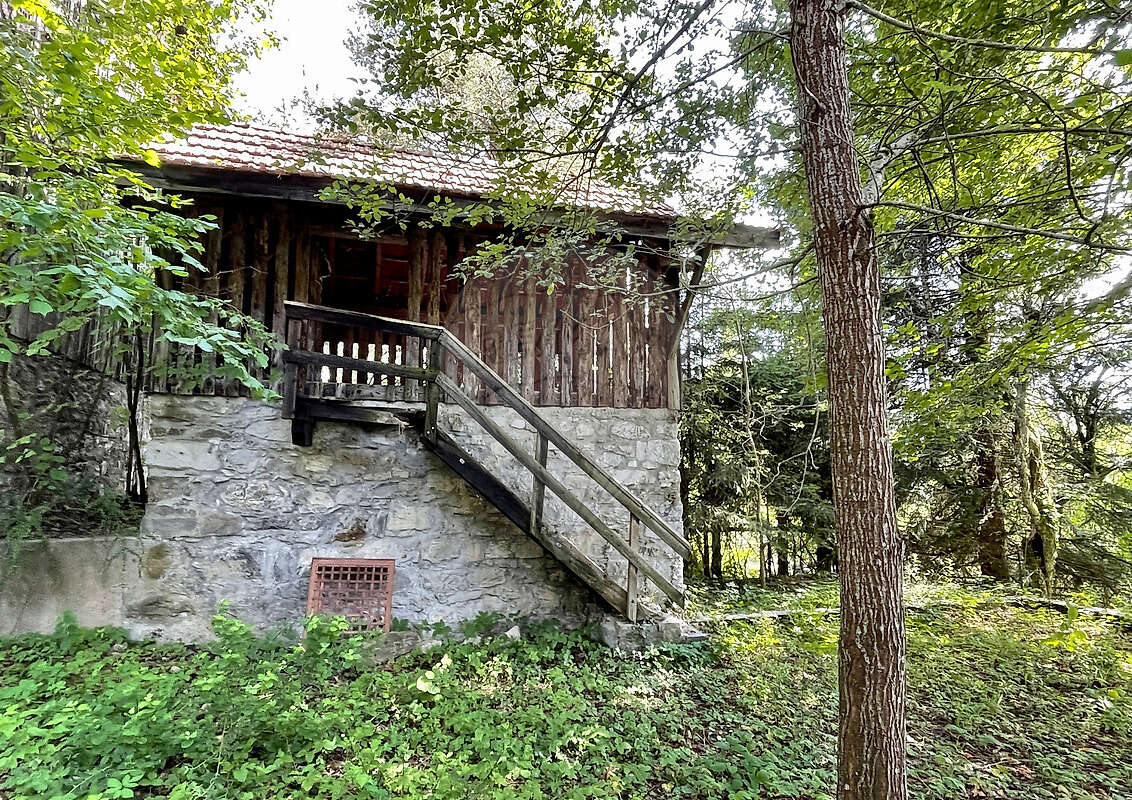 Maison à ARACHES-LA-FRASSE