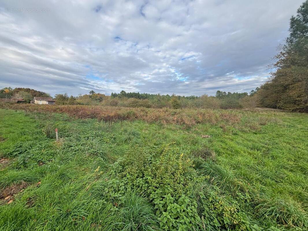 Photo 1 - Terrain à SORE