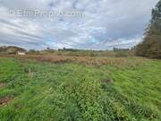 Photo 1 - Terrain à SORE