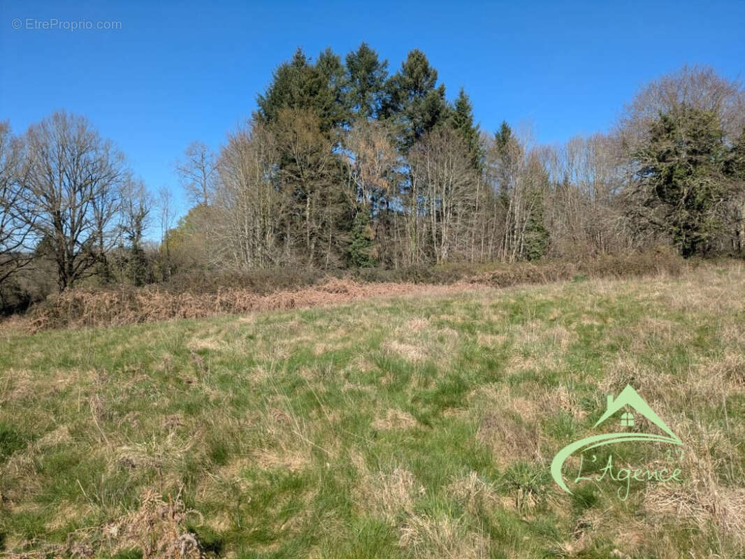 Terrain à VAYRES