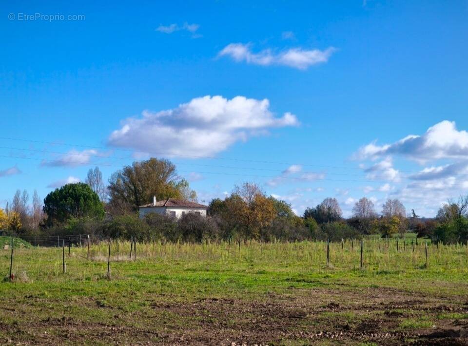 Terrain à COUFOULEUX