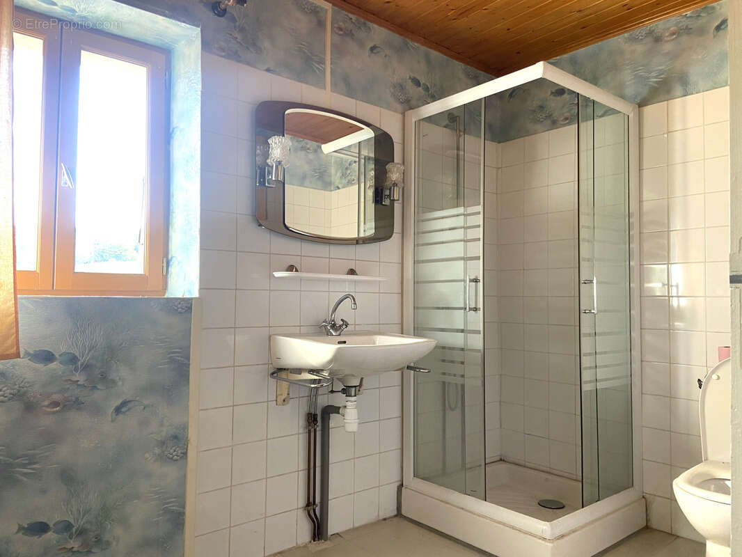 Maison T4 avec dépendances, caves et terrain   Beau potentiel - photo 7