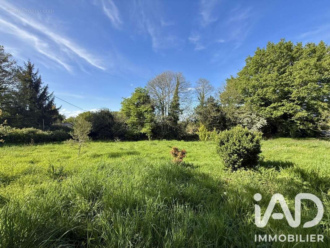 Photo 7 - Maison à MONTENEUF