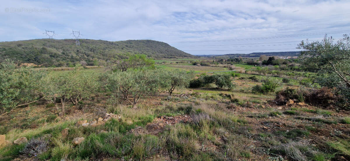 Terrain à FONTES