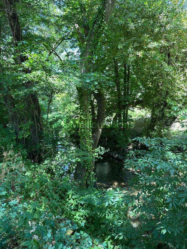Propriété agricole avec terrain de 4 hectares - photo 7