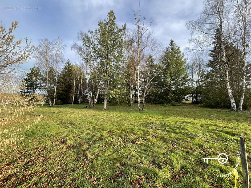 Terrain à MONTRIEUX-EN-SOLOGNE