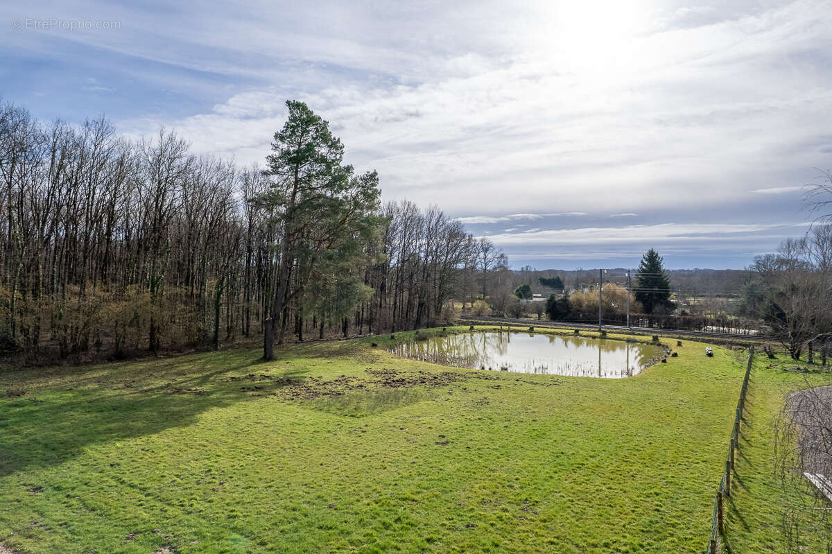 Terrain constructible - Thenioux, avec un étang - 4322 m²  - - photo 3