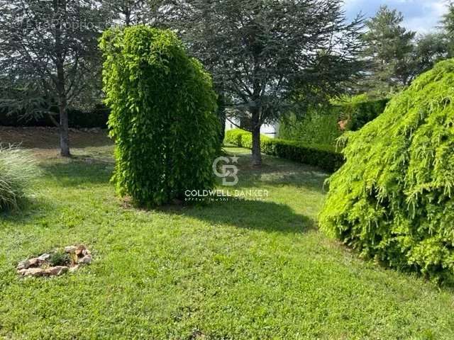 Maison à SAINT-CEZAIRE-SUR-SIAGNE