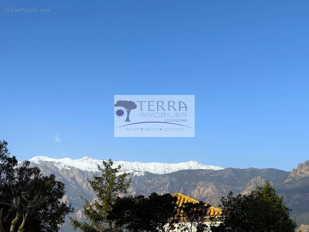 Terrain à SARI-SOLENZARA