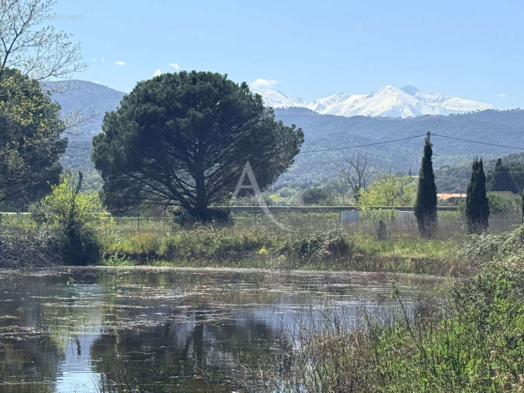 Terrain à CASTELNOU