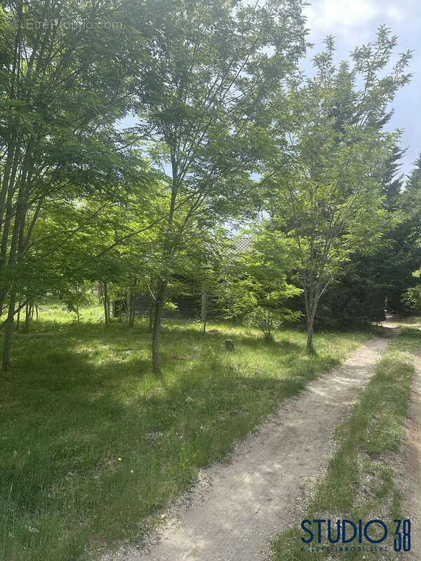 terrain agricole
