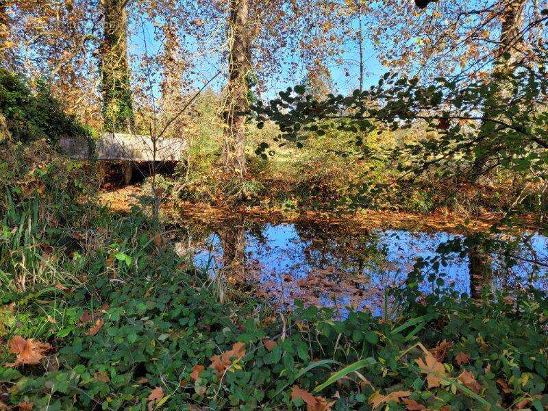 Photo 9 - Maison à ABILLY