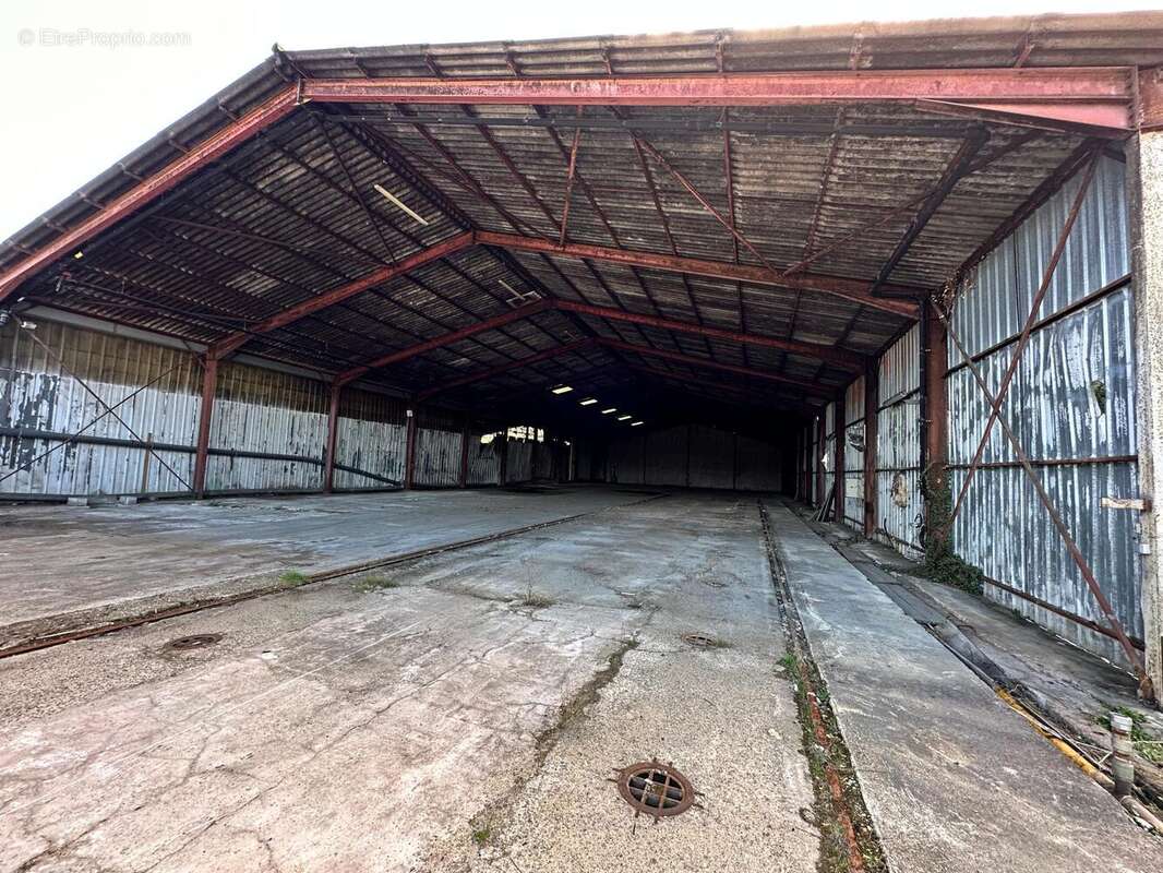Commerce 3000 m² à Mont-De-Marsan  - photo 2