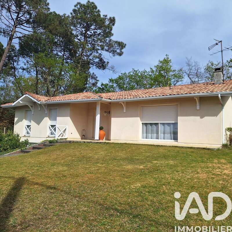 Photo 3 - Maison à LA TESTE-DE-BUCH