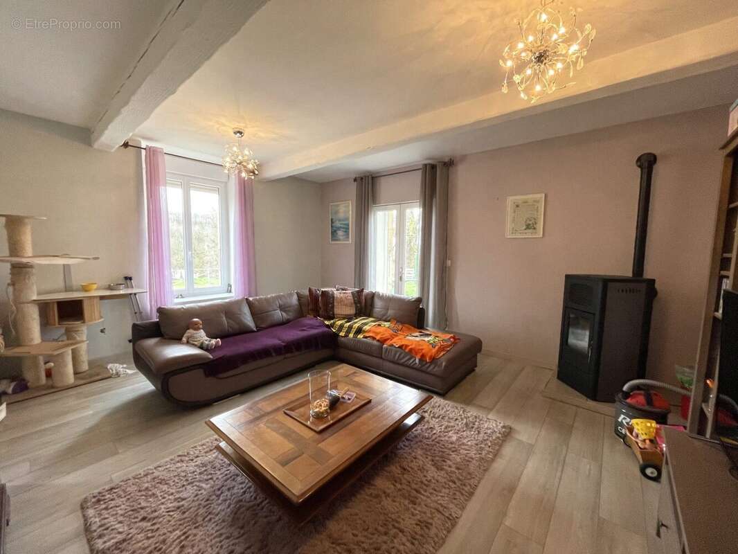 Maison 275 m² à Hauterives  - photo 5