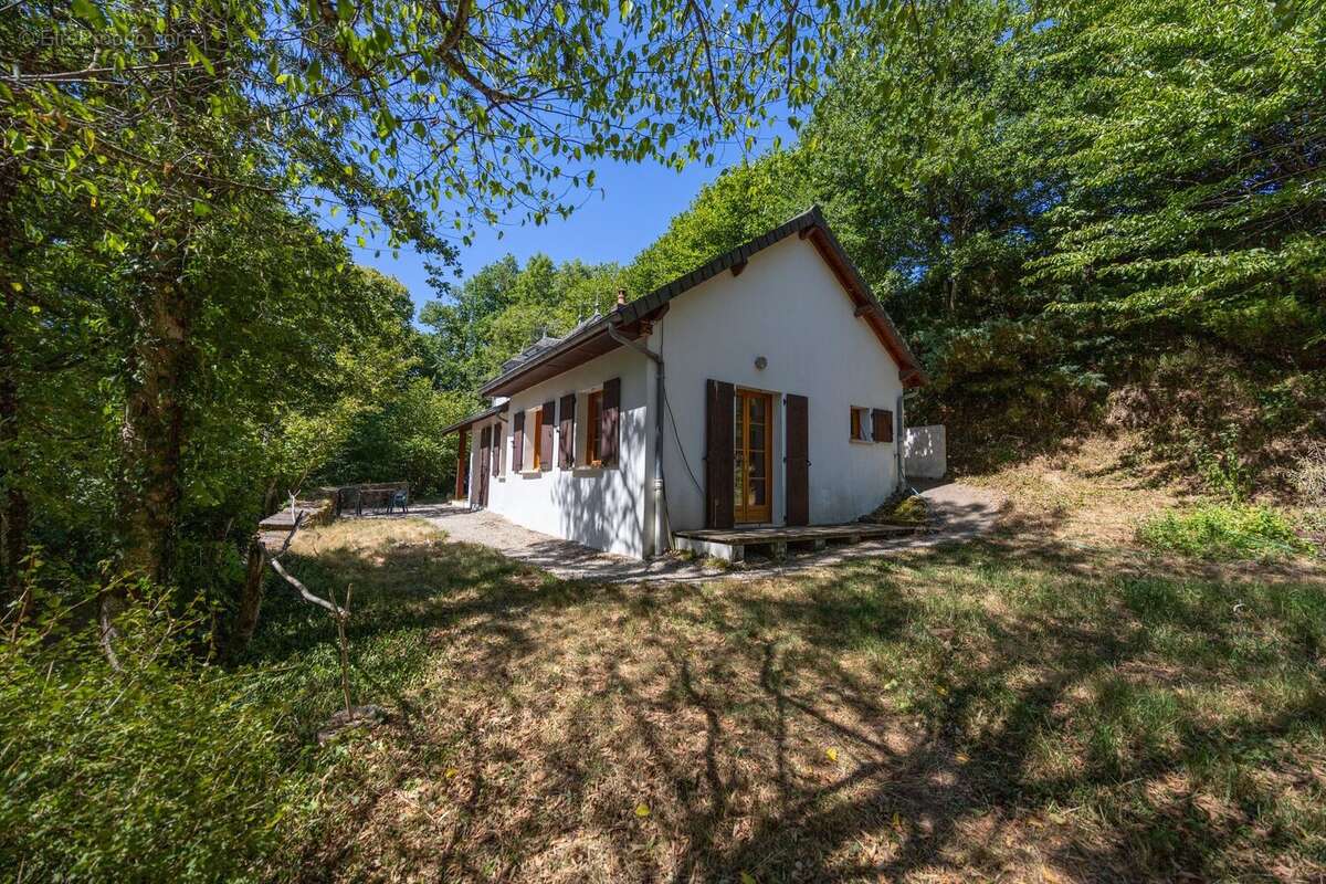 Maison 74 m² à Ally  - photo 2