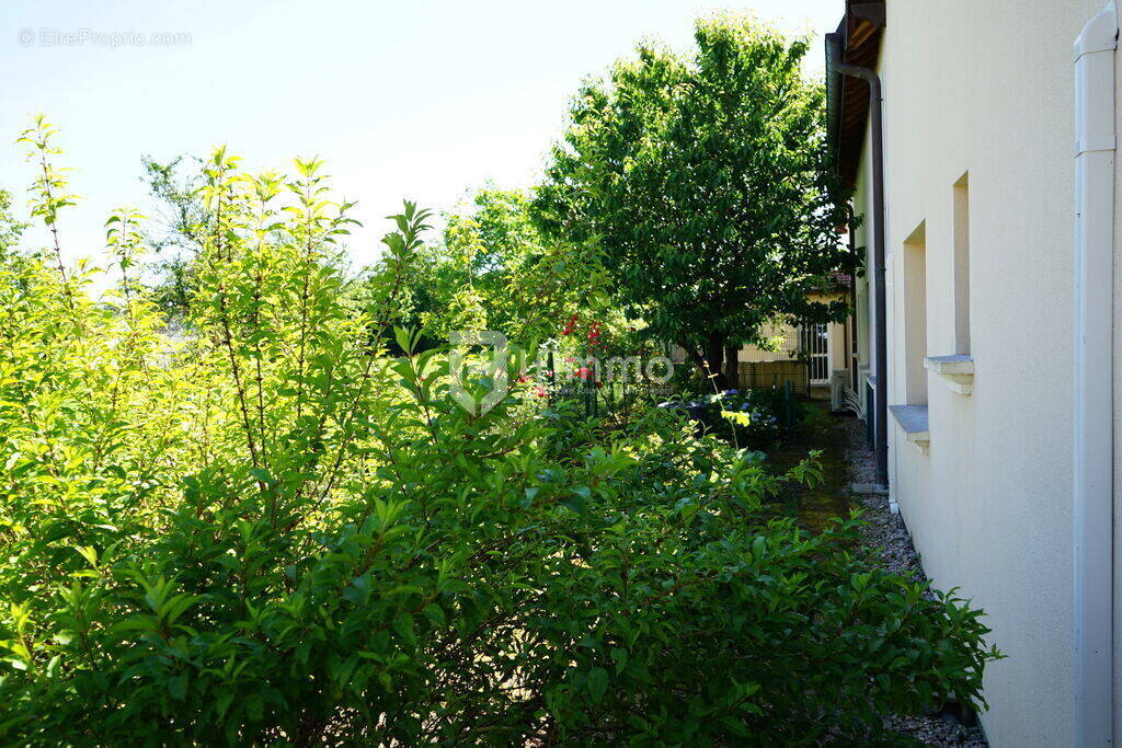 Appartement à GOLBEY