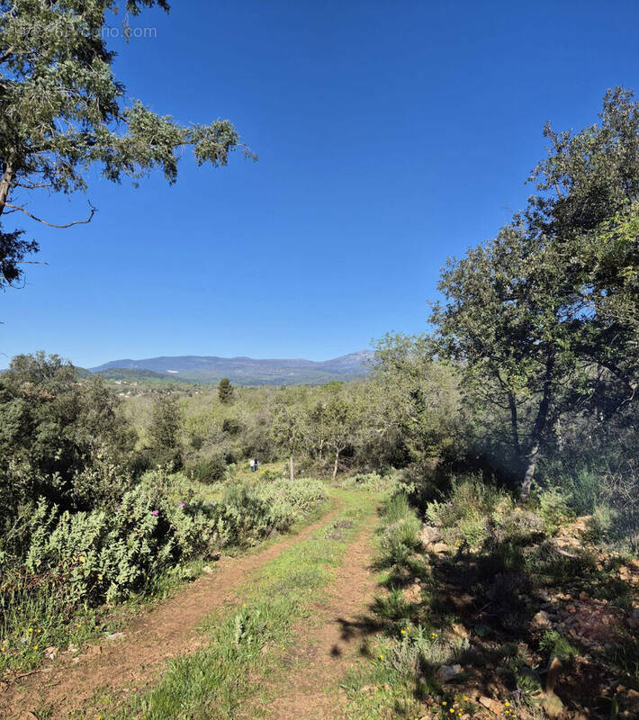 Terrain à SAINT-CEZAIRE-SUR-SIAGNE