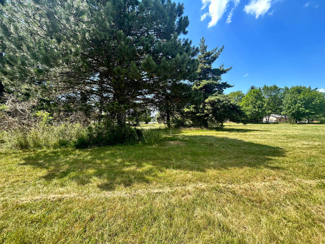 Terrain à SAINT-SAUVEUR-CAMPRIEU