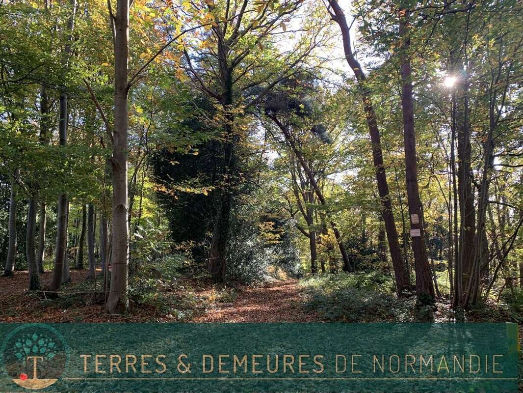 Terrain à BEUZEVILLE