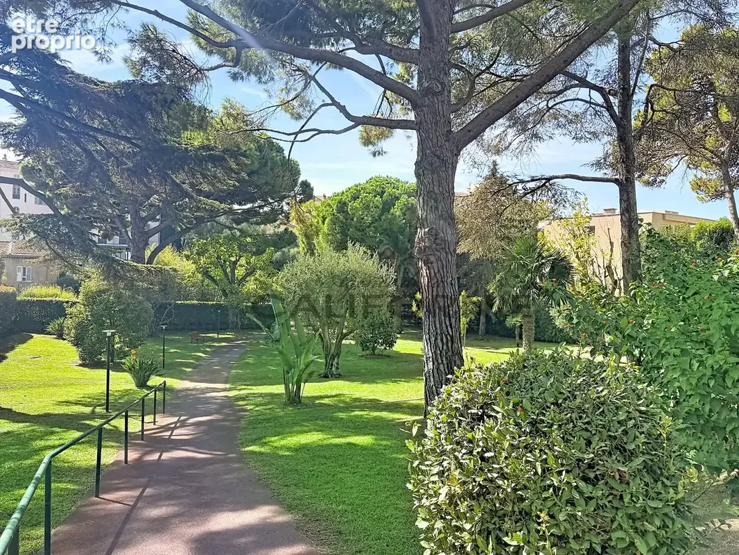3 pièces cannes montfleury - photo 15