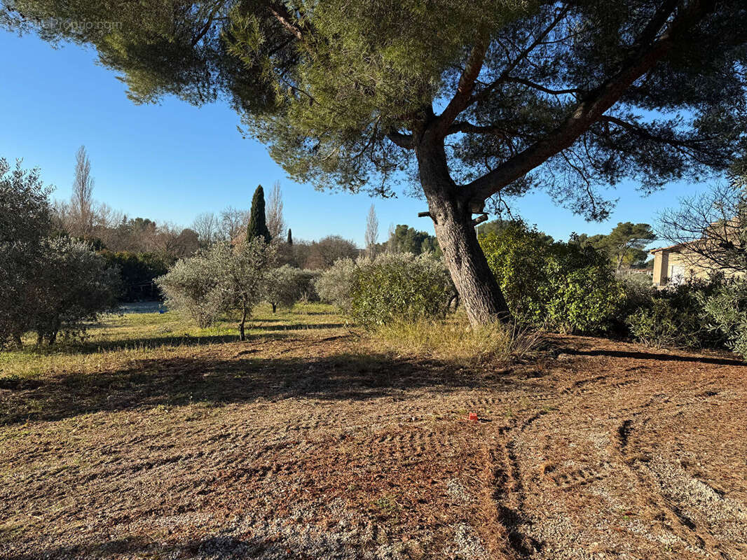 Terrain à VENTABREN