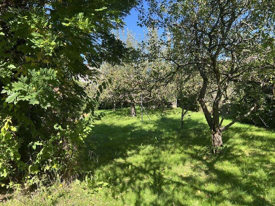Maison à SAINT-MARTIN-BELLEVUE