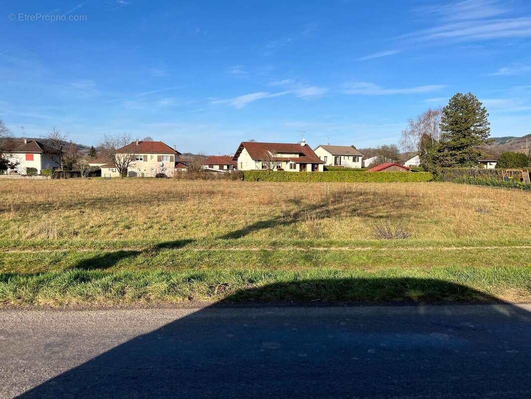 Photo 4 - Terrain à DOMBLANS