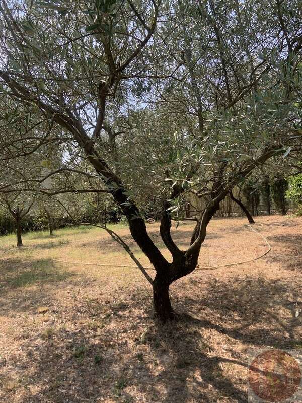 Villa de plain-pied de 156m² et son terrain de 2522m² - photo 12