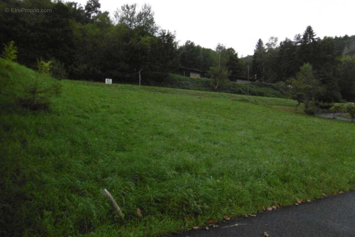 Terrain à SAINT-MARTIN