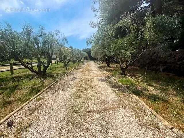 Maison à LANSARGUES