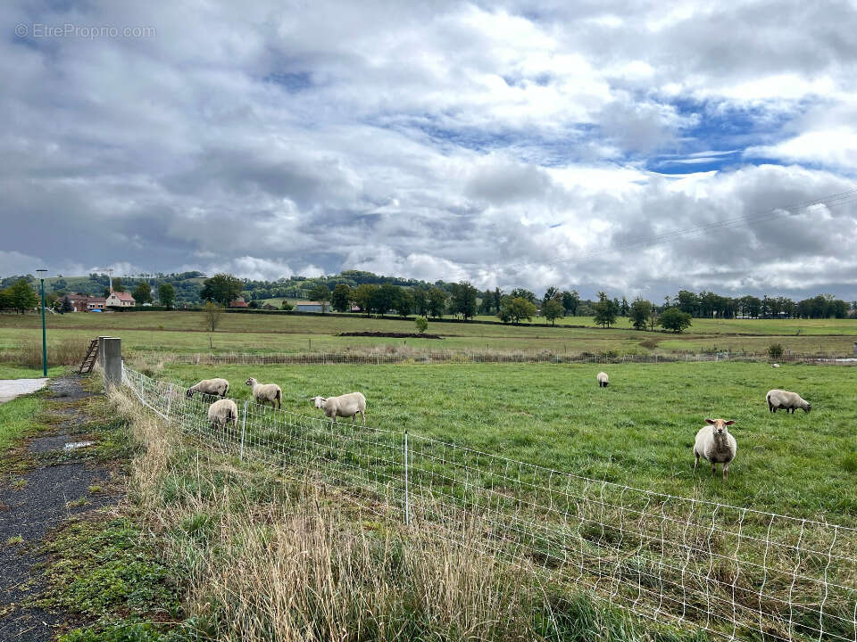 Terrain à NAUCELLES
