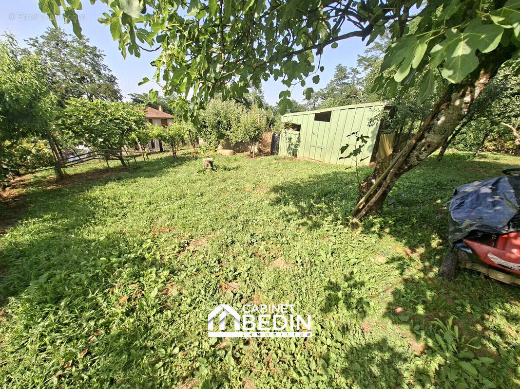 Appartement 287 m² à Nousse  - photo 2