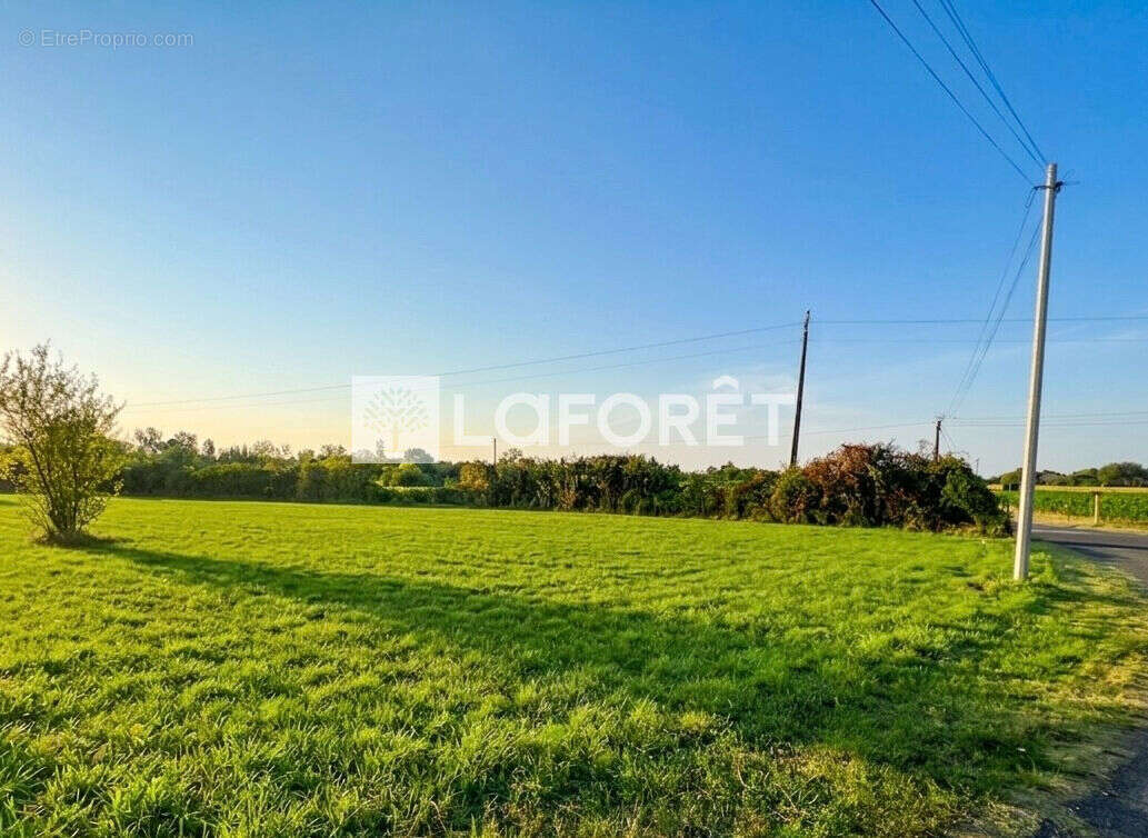 À vendre terrain constructible d'une superficie totale de 1 000 m² - photo 3