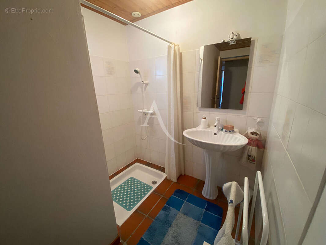 Maison barbatre - photo 8