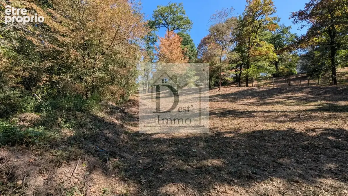 Terrain arboré et au calme — À 5 min de Chabanais - photo 5