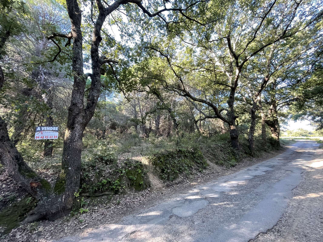 Terrain à ARGELES-SUR-MER