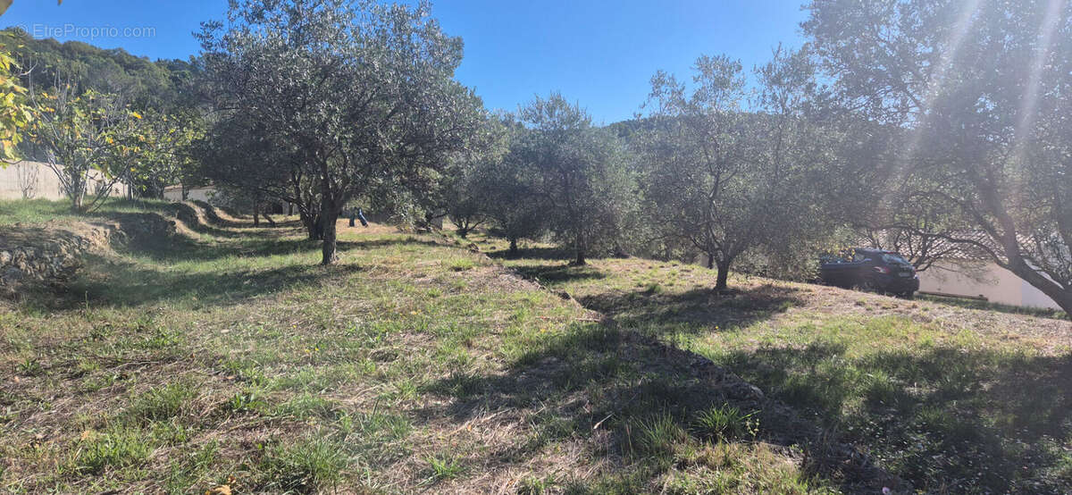 Terrain à MONTAUROUX