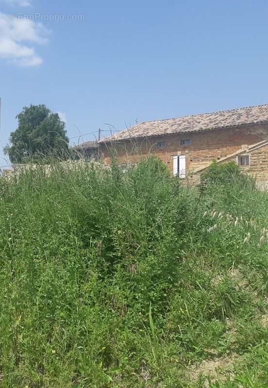 Terrain à GRISOLLES