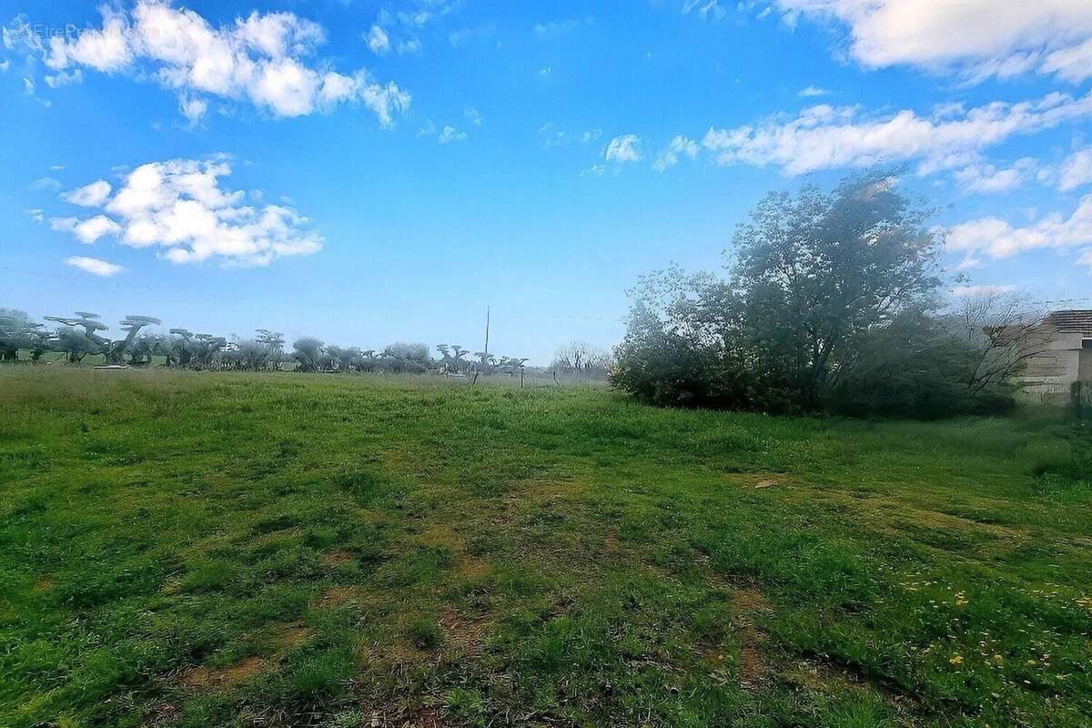 Photo 3 - Maison à BEZIERS