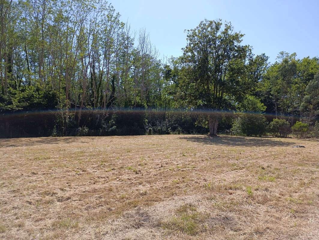 Terrain 1384 m² à Linxe  - photo 2