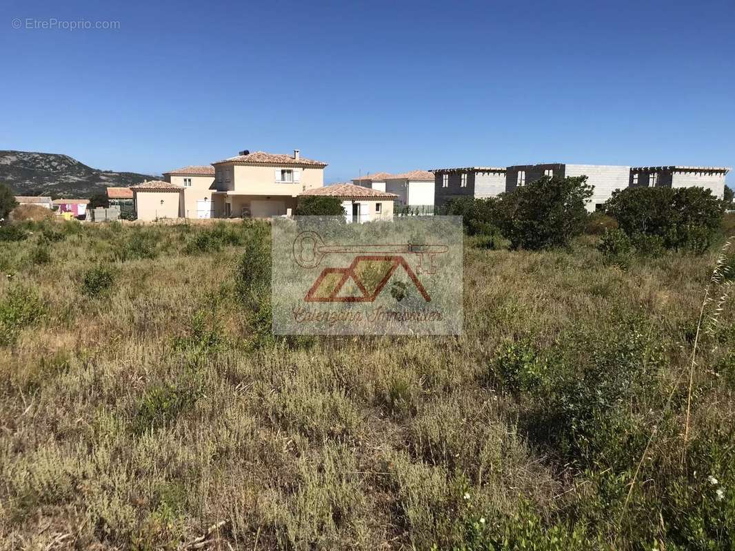 Terrain à CALVI